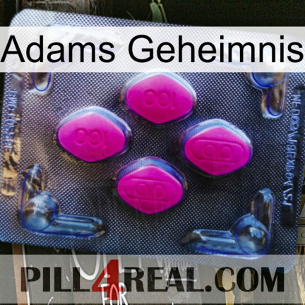 Adams Secret 02